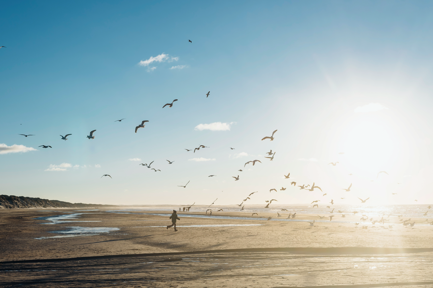 strand klima.png